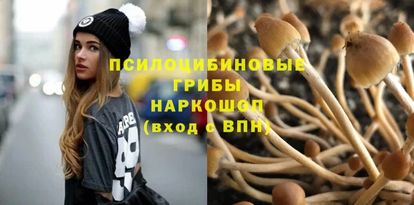 молекула духа Баксан