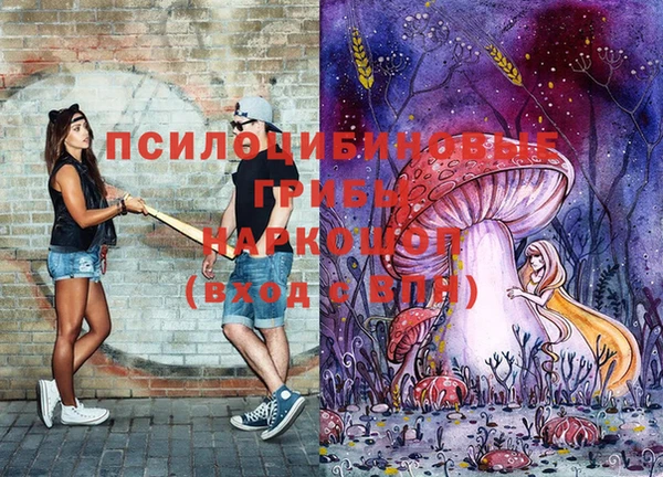 молекула духа Баксан