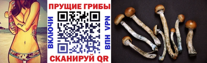 хочу наркоту  Таруса  Псилоцибиновые грибы мухоморы 